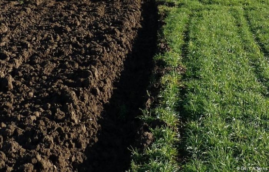 Almanya'da arsa kıtlığı! Arsalar 'altın' haline geldi!