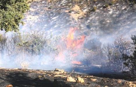 karsta orman yangını