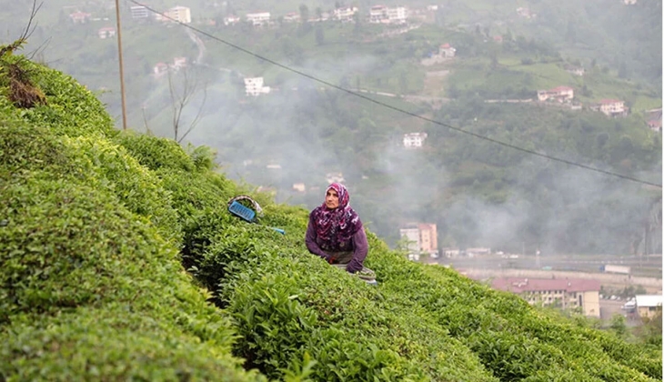 Deprem bölgesinde inşa edilecek Çay Sokağı Konutları na çay üreticilerinden destek!