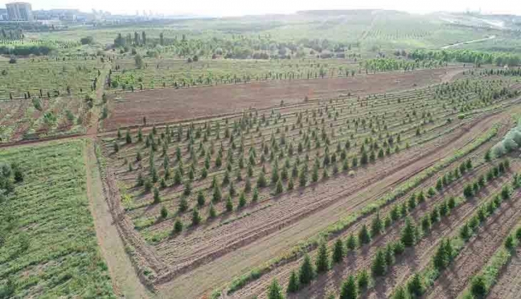 Atatürk Orman Çiftliği Müdürlüğü nden 10 yıllığına kiralık park ve rekreasyon alanı!