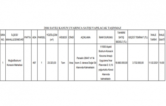 Bodrum da 18.7 milyon TL ye satılık arsa!