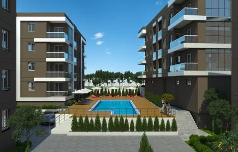 Dasif Plus İzmir fiyatları!