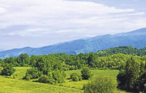 Milli emlak tapusunda öncelik hakkı!