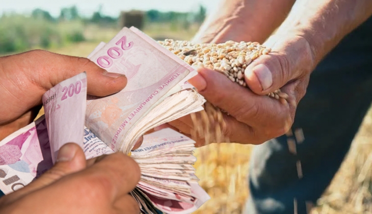 TMO Genel Müdürü nden buğday prim ödemesi açıklaması: Kesin tarihi ilk kez duyurdu