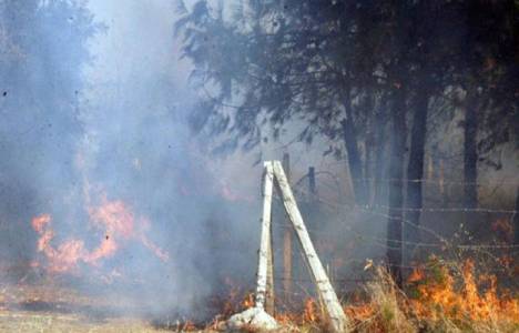 Mersin'deki orman yangını!