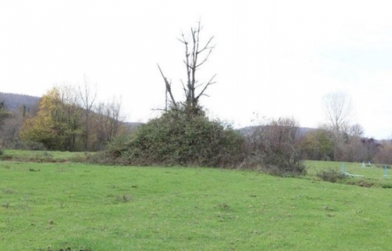 Mustafa Vehbi Koç Golf Tesisi için imar planı hazırlandı!