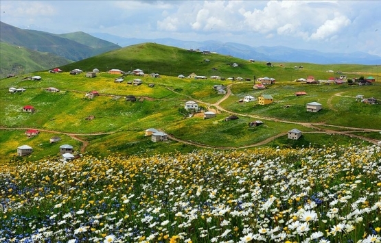 Trabzon'daki Barma Yaylası Turbalığı kesin korunacak hassas alan ilan edildi