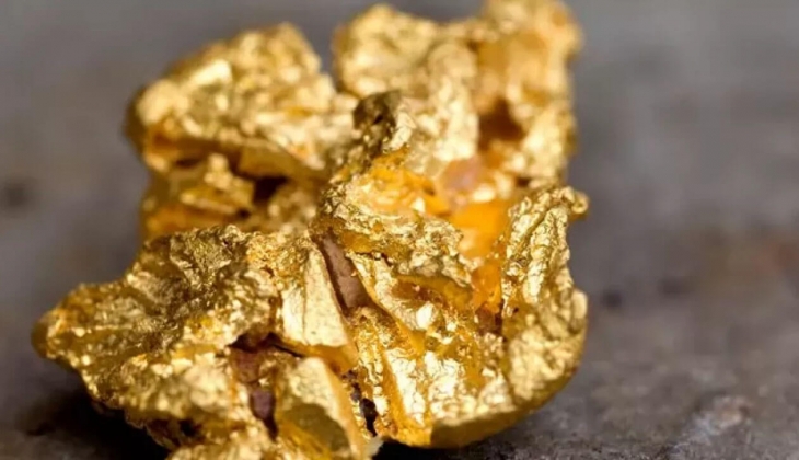 Uzman isim bütün yatırımcıları üstüne basa basa uyardı! Bu yıl altın rekor kıracak