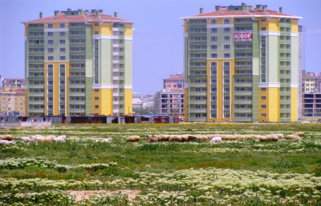 Konya Selçuklu'da 9.2 milyon TL'ye satılık 2 arsa!