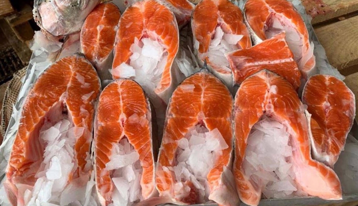 İstanbul Balık Hali fiyatları belli oldu! Somon 60 TL, Lüfer 70 TL, Levrek 80 TL! 21 Aralık 2022 fiyat listesi