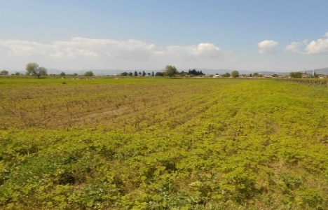 Arsa tapu masrafları ne kadar tutar?