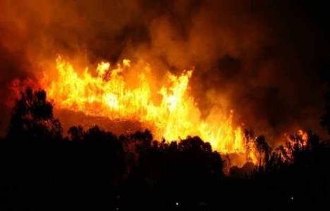 Muğla'daki yangınlar kontrol altına alınamıyor!
