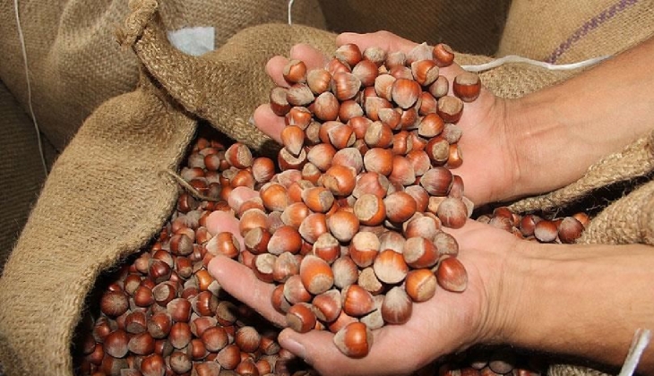Toprak Mahsulleri Ofisi (TMO) fındık fiyatları belli oldu mu? 2023 fındık fiyatları ne zaman açıklanacak?