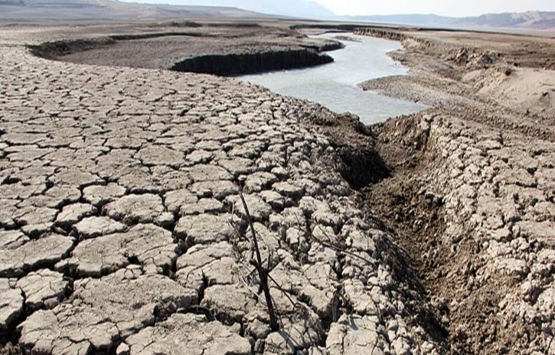 Çiftçiye müjde! Ücretsiz tohum ve mazot yardımı!