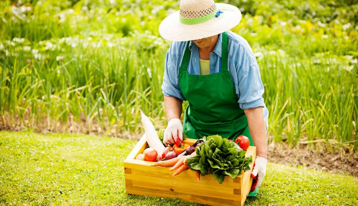 Bakan Kirişci den çiftçilere müjde üstüne müjde! Mazot ve gübre desteği 3 kat artıyor! Kaç lira destek ödenecek? 