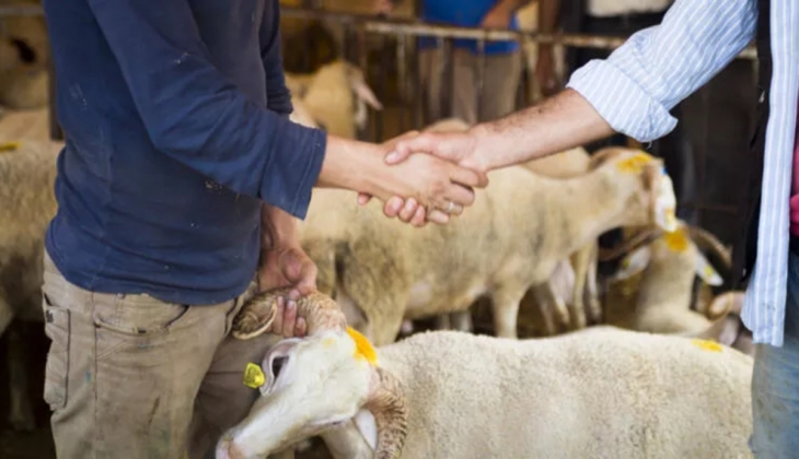 Bayramın son gününde kurbanlık fiyatları düştü mü? 2022 kurbanlık fiyatları ne kadar oldu?