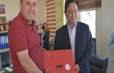 Ordu Çaybaşı'nda 3 proje için protokol imzalandı!