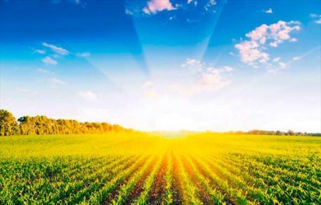 Miras arazilerinin intikal işlemlerinde son 3 ay!