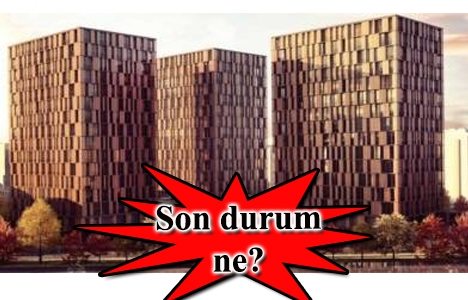 Acat Yapı Nestlife iletişim