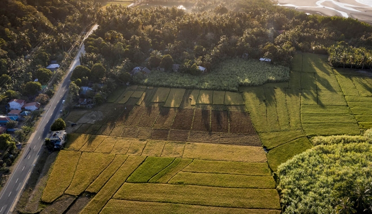 4 ildeki 6 adet arsa ve arazi 51 bin TL'den başlayan fiyatlarla satılıyor!