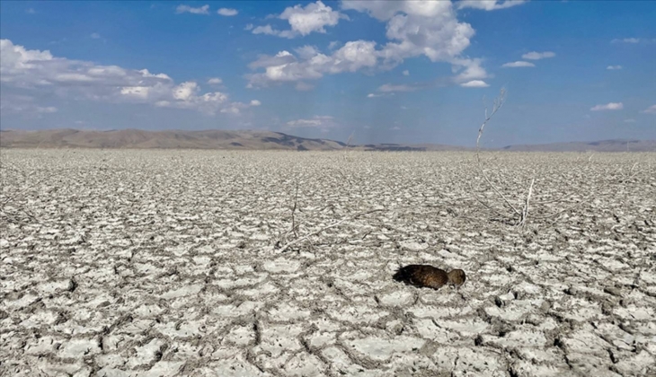17 bankadan 9’u kömür projelerini finanse etmeyecek!