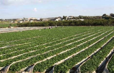 Tarım arazileri miras yolu ile bölünemeyecek!