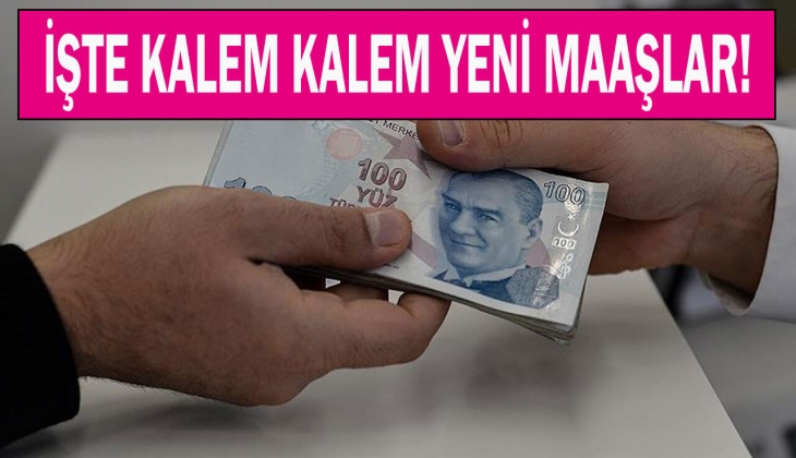 65 yaş aylığı, engelli aylığı, evde bakım parasında Eylül şoku! Maaşlar kaç lira oldu?