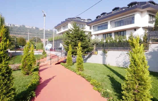 Olive Sarıyer iletişim