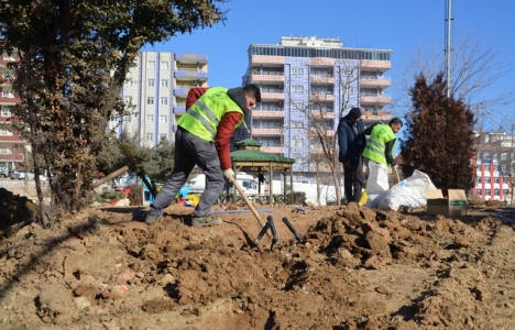 Batman Cengiz Altun Parkı yenileniyor!