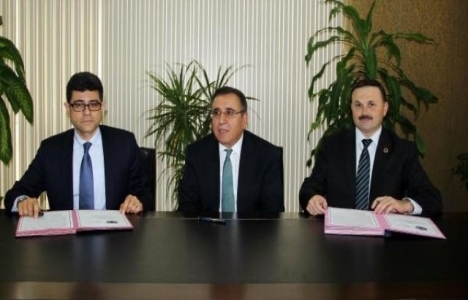 Kolin Soma'ya 30 bin zeytin ağacı fidanı dikecek!