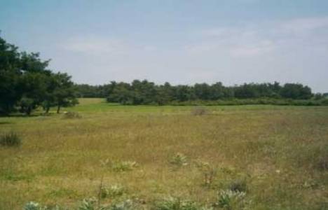 Kayseri Talas Belediyesi 6 adet arsa satıyor!