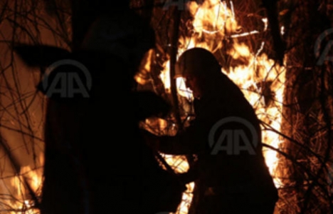 Polonezköy'de çıkan yangın kontrol altında!