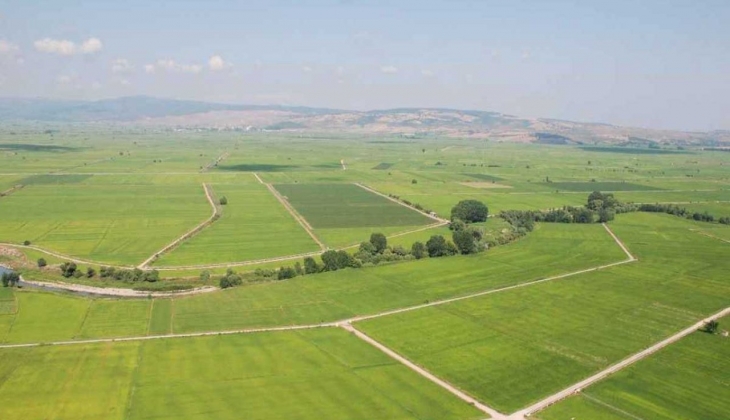 Tapusuz arsanın kurtarılma ihtimali var mı?