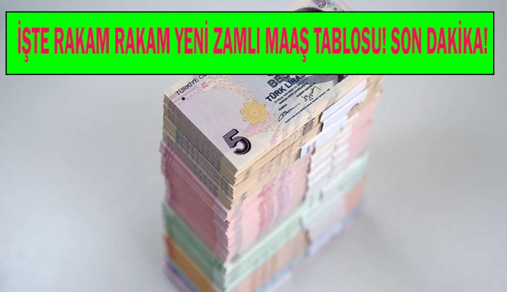 65 yaş aylığı, engelli aylığı, evde bakım parası Ocak zammı kalem kalem hesaplandı! Hemen yeni maaşlara bakın!