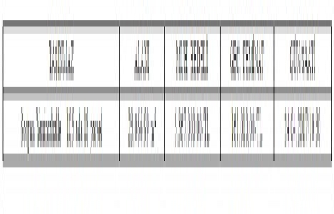 Yozgat ta 5.3 milyon TL ye satılık gayrimenkul!