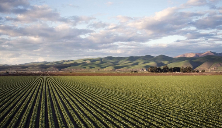 Arsa sahibi olmak isteyenler buraya….