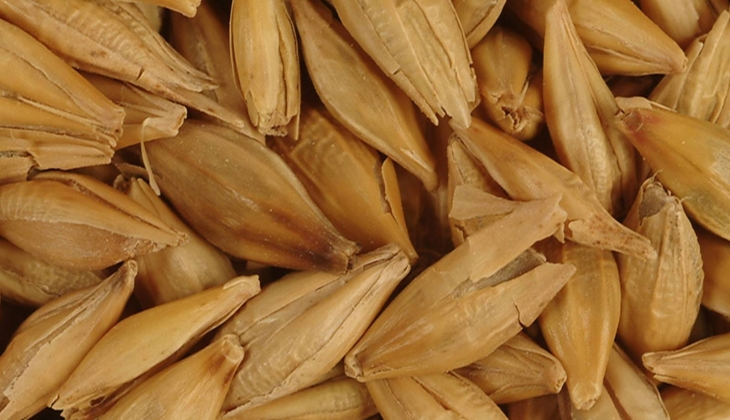 Uşak'ın ünlü yem tedarikçilerinden Adayem Gıda'nın geçici mühlet süresi 40 gün uzatıldı! 