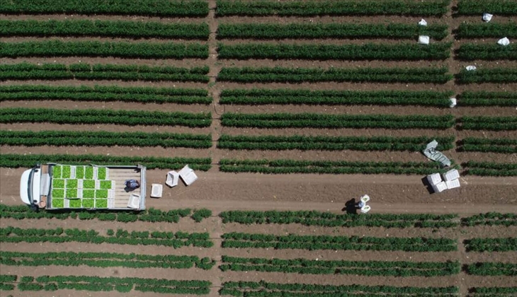 Çiftçiler dikkat! Sakın kaçırmayın: Çiftçi Kayıt Sistemi ne başvurular yarın başlıyor!