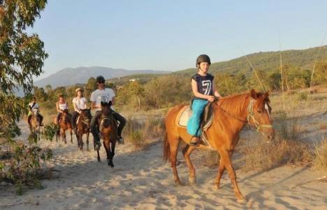Tatilcilerin yeni gözdesi at safari!