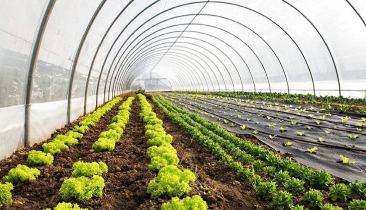 Adana Tarım ve Sera Bahçe Fuarları 7 Kasım 2023'te kapılarını ziyaretçilerine açacak