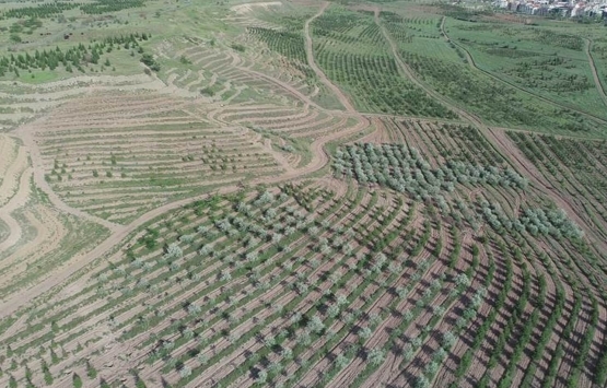Atatürk Orman Çiftliği’nde Cumhurbaşkanlığı Külliyesi yapılması kararı iptal edildi!
