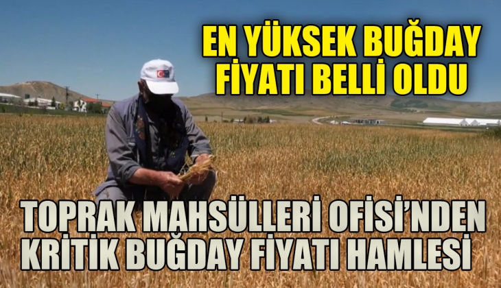 Buğdayda en yüksek fiyat belli oldu! Toprak Mahsülleri Ofisi'nden kritik buğday fiyatı hamlesi