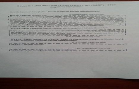 Düzce Çevre Düzeni Planı hüküm değişikliği askıda!