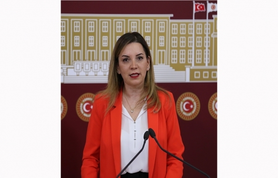 İstanbul'da hobi bahçesi sayısı ve yapılan denetimler TBMM'de! 