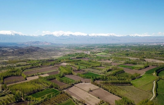 Denizli de 97 yıl önce vefat eden dededen tarla miras kaldı!