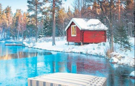 halsa hangi ülkenin