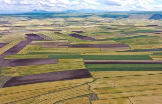 Adana Çukurova Belediyesi 3 arsayı satıyor! 11.7 milyon TL den başlayan fiyatlarla...