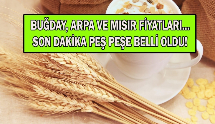 Buğday, arpa, mısır fiyatlarında kritik gelişme! Hangi borsada kaç lira oldu? Çiftçiler şimdi bu rakamlara bakın!