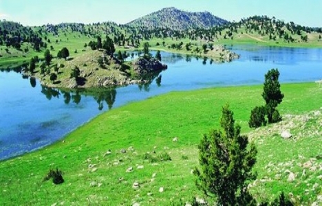 Denizli Çameli Yaylası turizmin başkenti olacak!