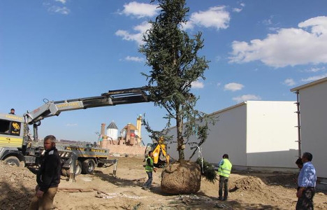 Ankapark tan son fotoğraflar!